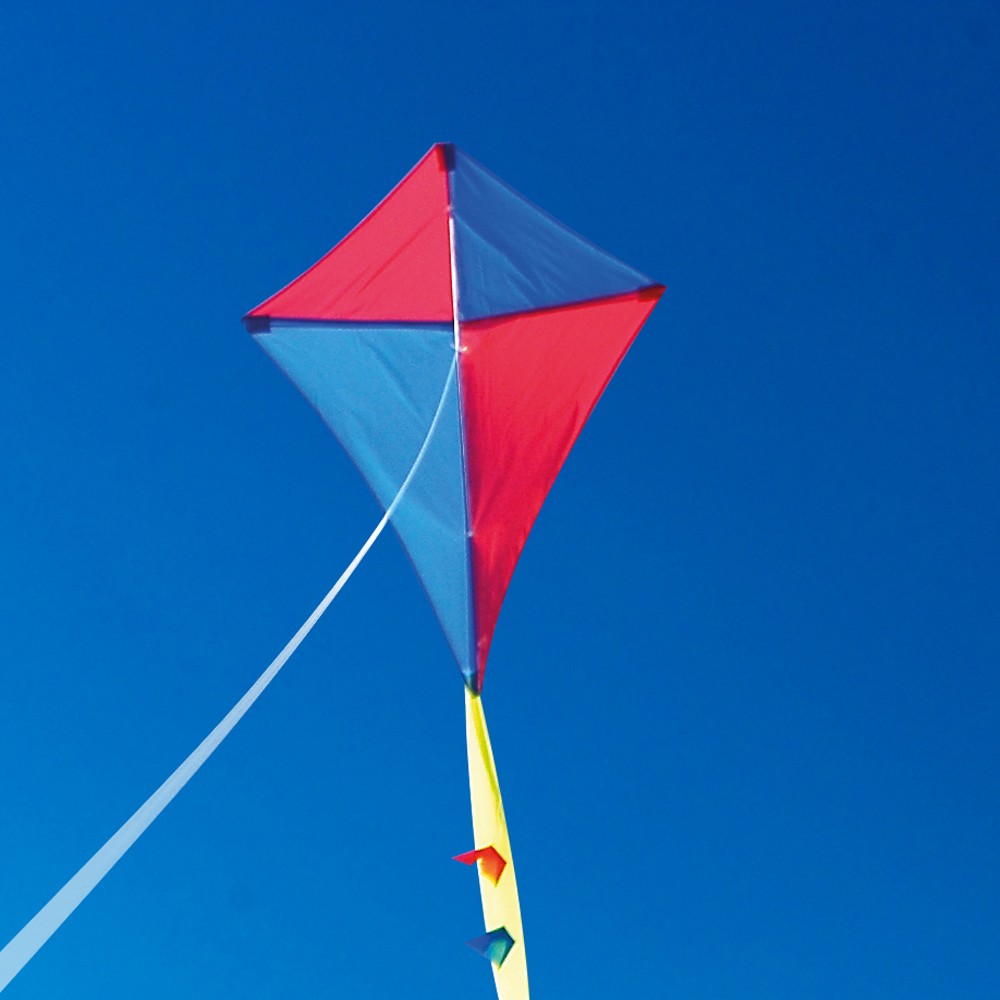 Kite