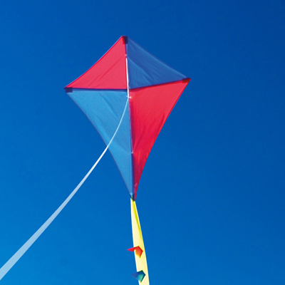 Kites